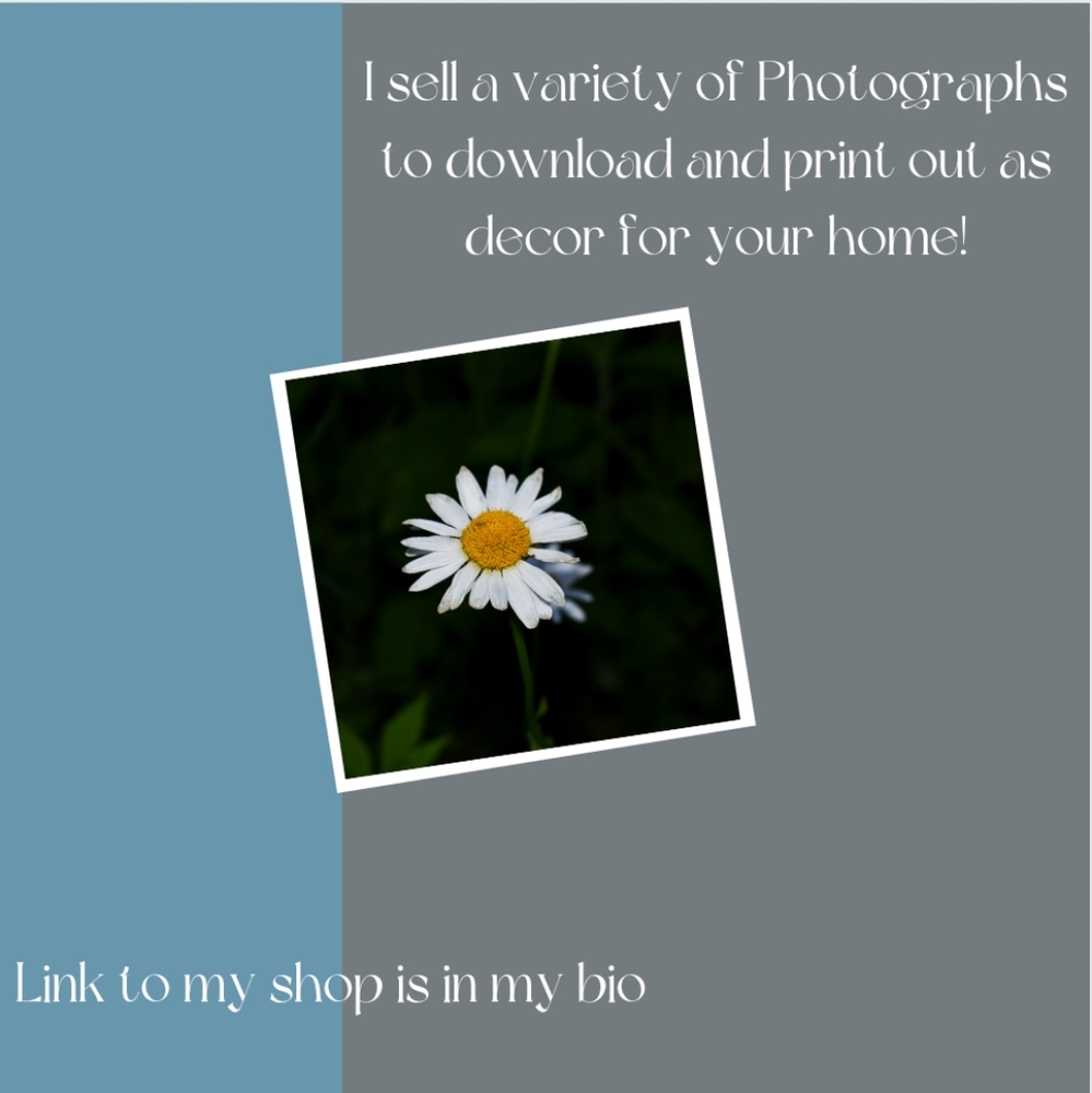 FOLLOW MY ETSY SHOP IN MY BIO - Picture 3 of 9